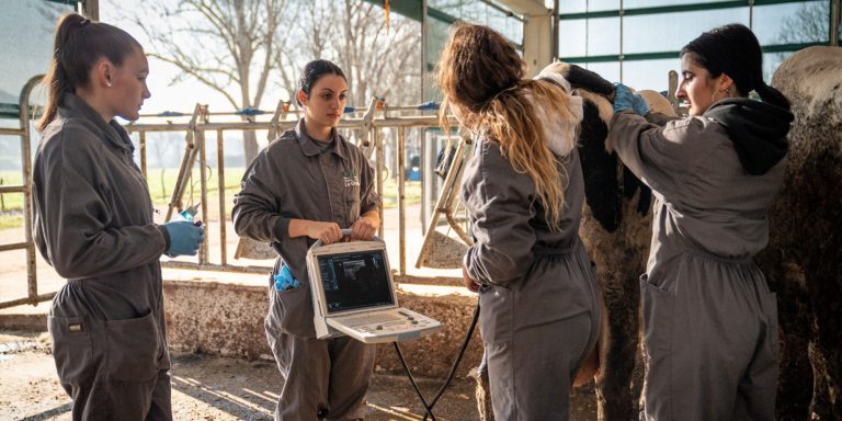 Transformación digital en formación agroalimentaria